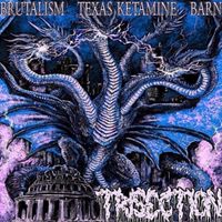 Brutalism / Texas Ketamine / Barn - Trisection