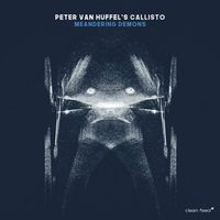 Peter Van Huffel - Meandering Demons