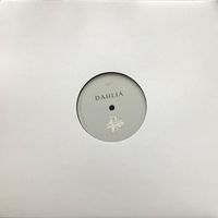Solah - DAHLIA 998