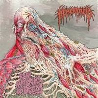 Hemorrhoid - Raw Materials of Decay