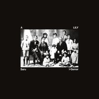 A Lily - Saru I-Qamar