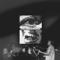 The Demographic - The Change