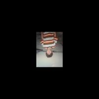 23wa - LA RAISON / L'EUPHORIE