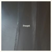 Sleepnet - II