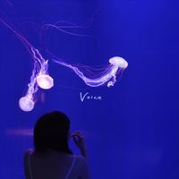 赤いくらげ [Akaikurage] - Voice