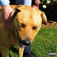 thayerperiod - 10,000 Dogs