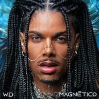 WD - MAGN&Eacute;TICO