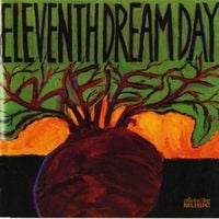 Eleventh Dream Day - Beet