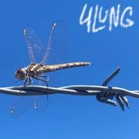 4lung - Barbed Wire Dragonfly