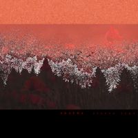 Stereo Type - Split