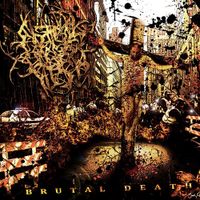 Abated Mass Of Flesh - Brutal Death