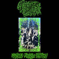 Wolf Lichen - Empyreal Alpine Lysergy