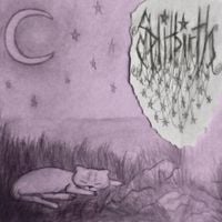DavidCrypt - Splitbirth