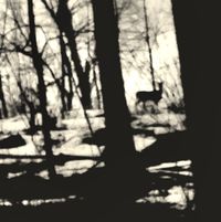 The Dead Land - Winter, Pt. 2