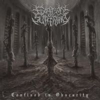 Fixation On Suffering - Confined in Obscurity