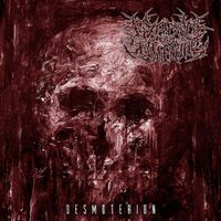 Fixation On Suffering - Desmoterion