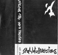 Einst&uuml;rzende Neubauten - Stahldubversions