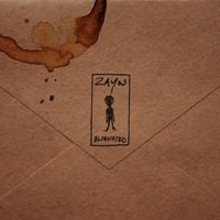 ZAYN - Alienated