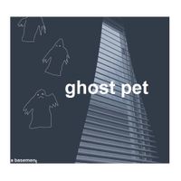 A Basement - ghost pet