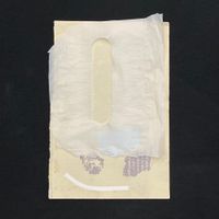 Borough Council - Prescribed