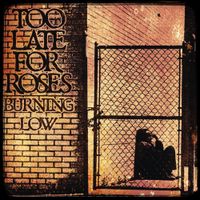 Too Late For Roses - Burning Low