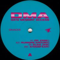 Data Memory Access - Dataverse