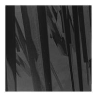 M&oacute;dulo Lunar - Irritante Paz