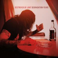 Destroyer Of Light - Degradation Years