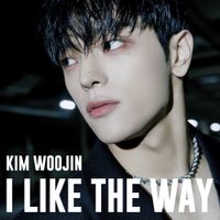 KIM WOOJIN - I LIKE THE WAY