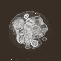 Rafael Toral - Moon Field