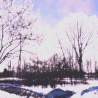 emotionals - Collection 001
