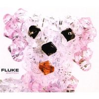 Fluke - Switch