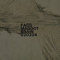 FACS - Maggot Brain 020324