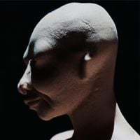 El Irreal Veintiuno - Anomal&iacute;as
