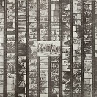 Cildo Meireles - Sal Sem Carne