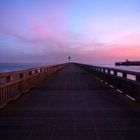 BudgieMint - on the boardwalk
