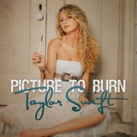 Taylor Swift - Picture To Burn