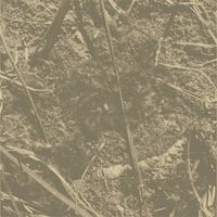 Nicholas Maloney & Tony Panella - Substantialis