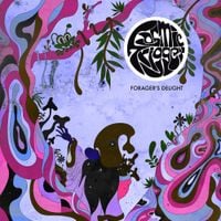 Cosmic Trigger - Forager's Delight