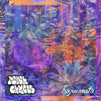Rsrch Chmcls - Rejuvenate