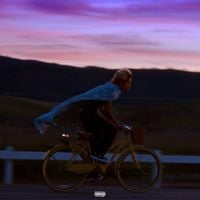 Louis Phoenix - DELIVERY BOY