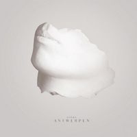 Surma - Antwerpen