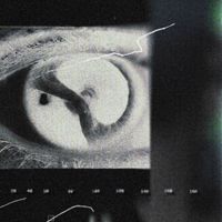 silverlake murder - Cobra
