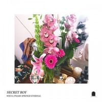 Wicca Phase Springs Eternal - Secret Boy