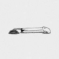 Joe Heaven - Deafening