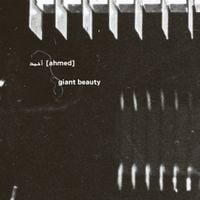 أحمد [Ahmed] - Giant Beauty