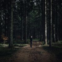 Max LL - In The Silence I Can Finally Hear