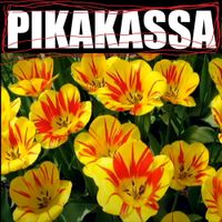 Pikakassa - Nelj&auml;s julkaisu