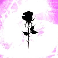 never easy - show me