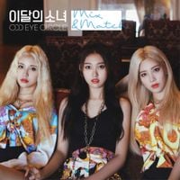 ODD EYE CIRCLE - Mix & Match